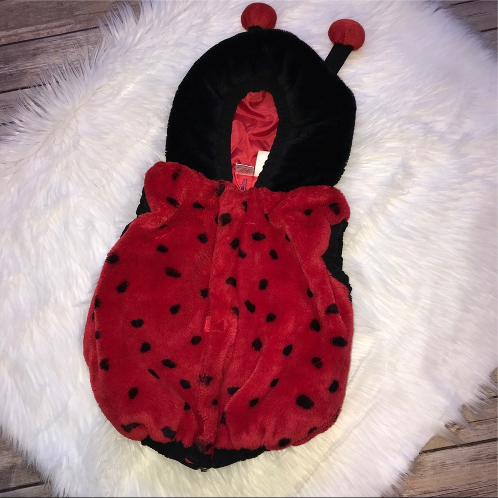 Plush Ladybug Halloween Costume 12-24M